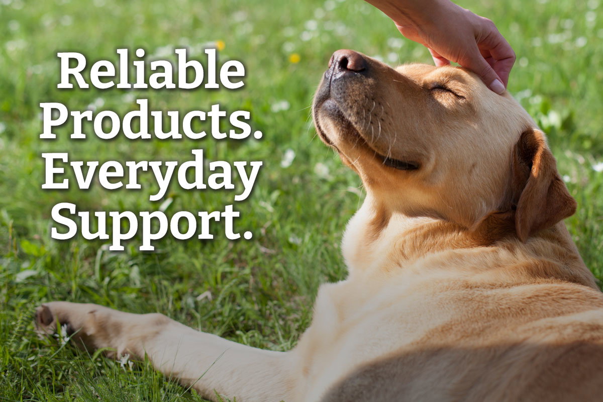 Reliable Products. Everyday Support - Shop Now