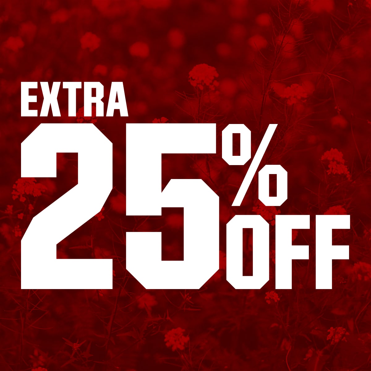 Extra 25% Off 