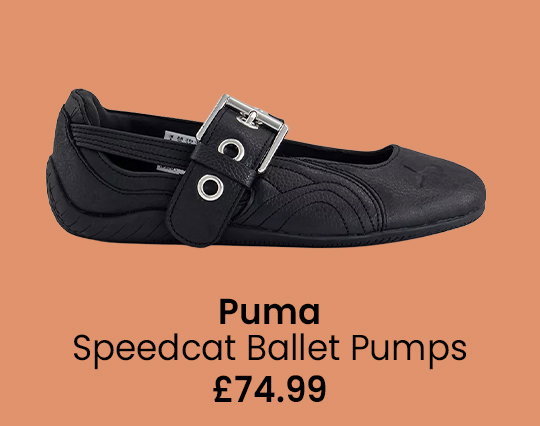 Puma Image