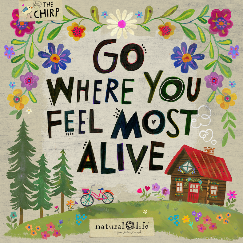 chirp_camping