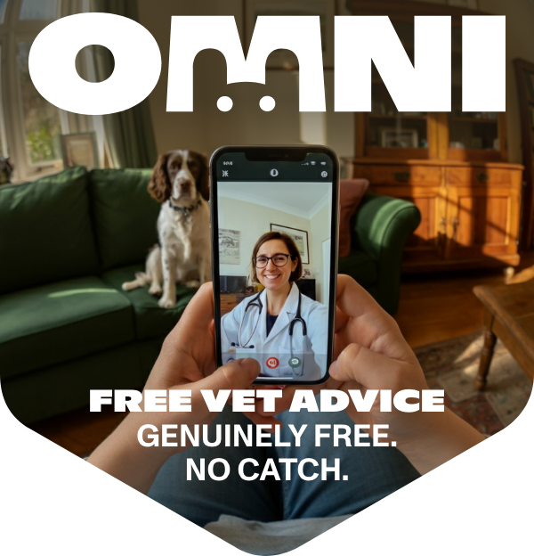 talk to a vet for free in the comfort of your own home