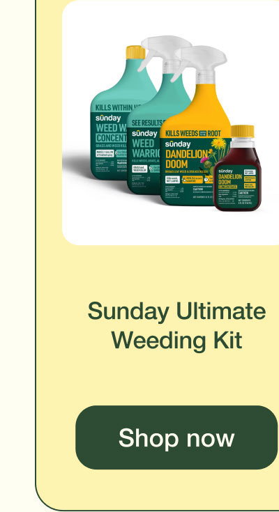 Sunday Ultimate Weeding Kit | Shop Now