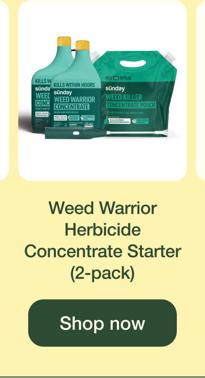 Weed Warrior Herbicide Concentrate Starter (2-pack) | Shop Now