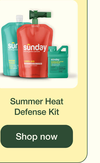 Summer Heat Defense Kit | Shop Now