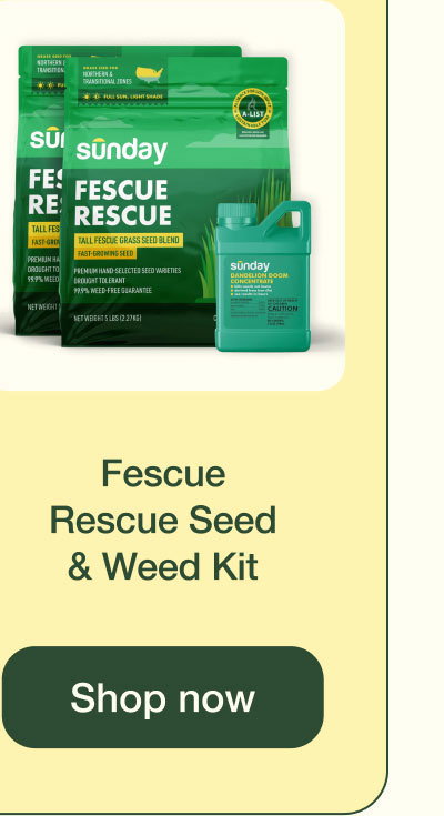Fescue Rescue Seed & Weed Kit | Shop Now
