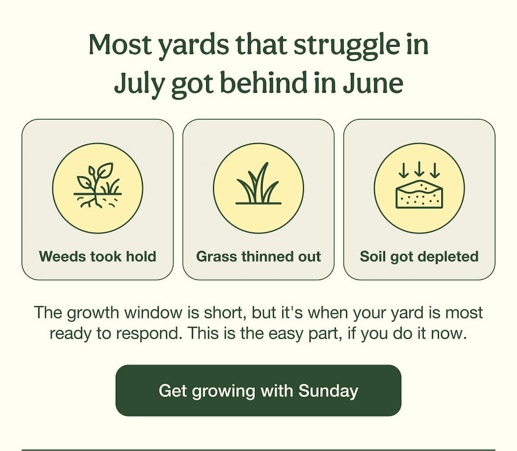 Most yards that struggle in July got behind in June | Get growing with Sunday