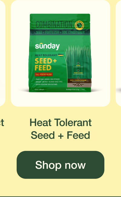 Heat Tolerant Seed + Feed | Shop Now