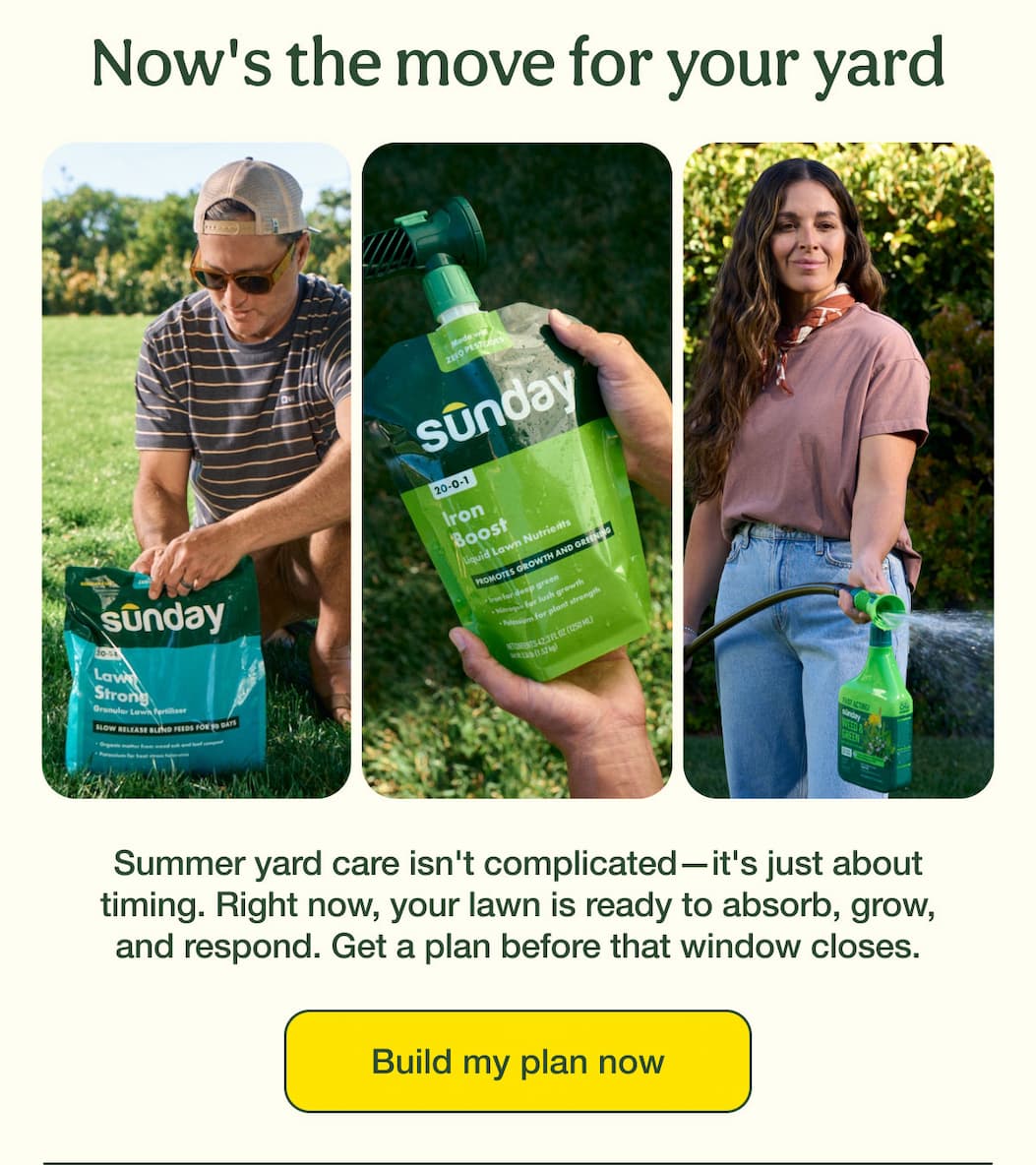 Now's the move for your yard | Build my plan now