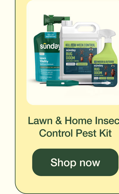 Lawn & Home Insect Control Pest Kit | Shop Now