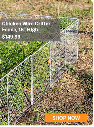 Chicken Wire Critter Fence, 16" High - $149.99