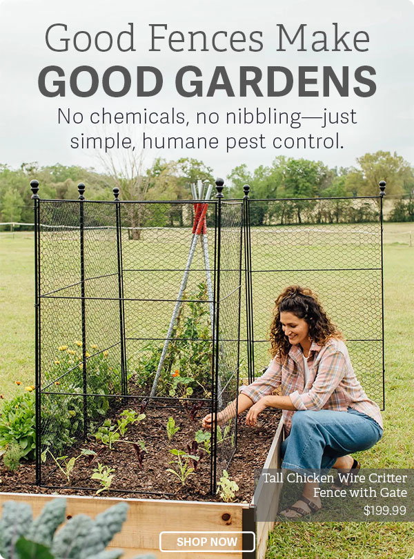 Good Fences Make Good Gardens - No chemicals, no nibbling - just simple humane pest control. - Tall Chicken Wire Critter Fence with Gate - $199.99 