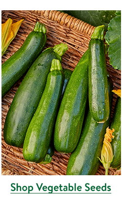 Vegetables to Sow Now