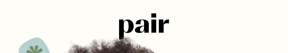 Pair