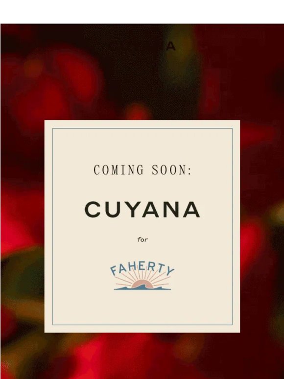 Cuyana for Faherty