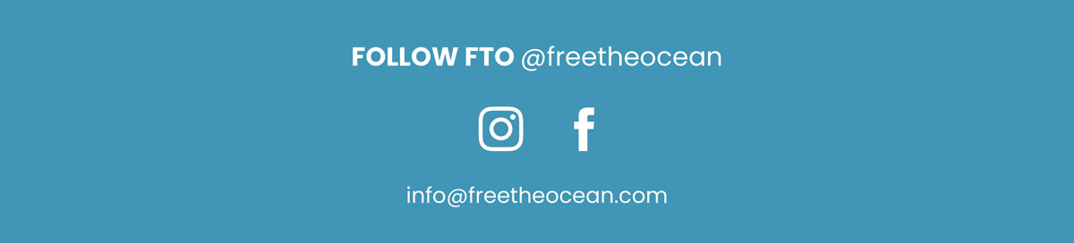 Follow FTO