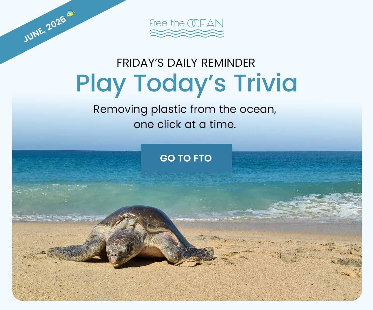 Removing plastic from the ocean, one click at a time