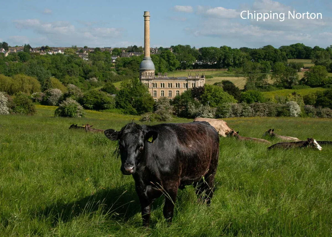 Chipping Norton