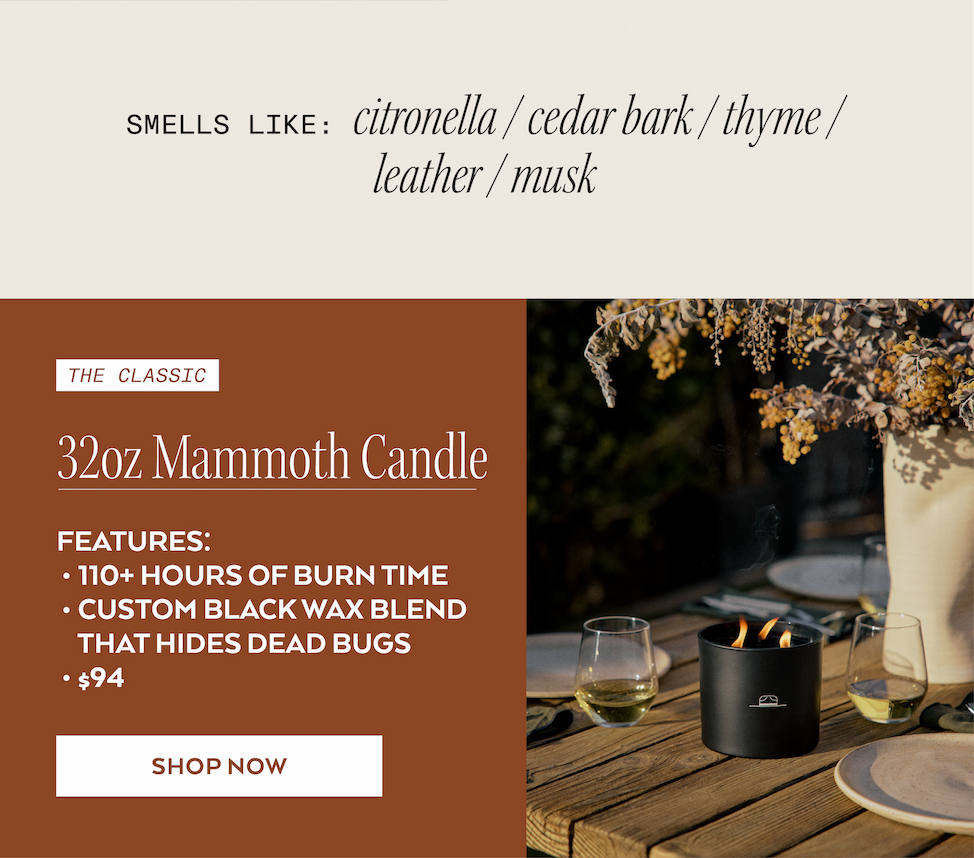 shop the mammoth>