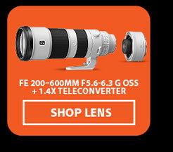 FE 200-600mm F5.6-6.3 G OSS + 1.4X Teleconverter | Shop Lens