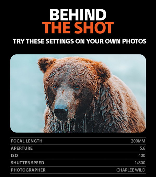 Behind The Shot | Try these settings on your own photos | Focal Length 200mm, Aperture 5.6, ISO 400, Shutter Speed 1/800, Photographer Charlee Wild