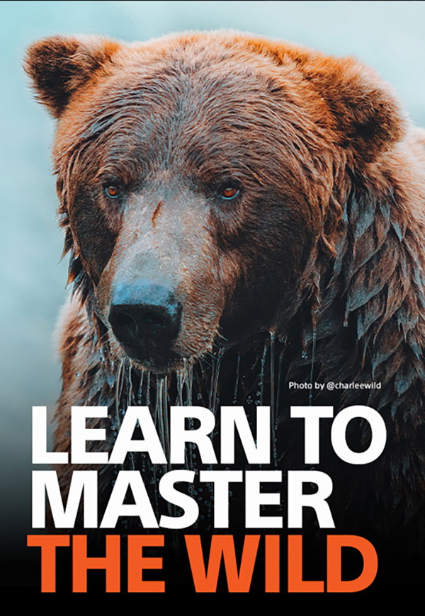Learn To Master The Wild | Photo by @charleewild