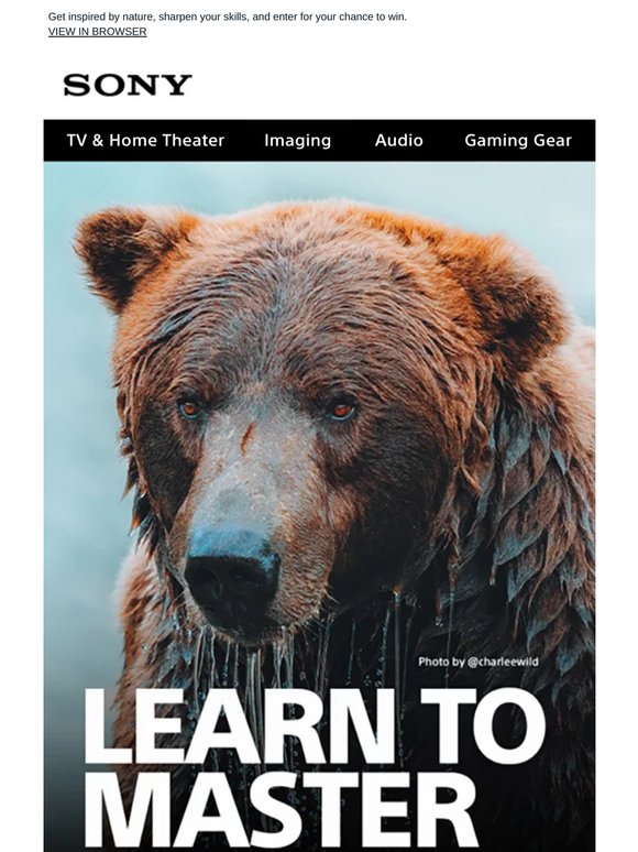 Learn, Get Inspired, And Enter For A Chance To Win: Wildlife Photography Essentials