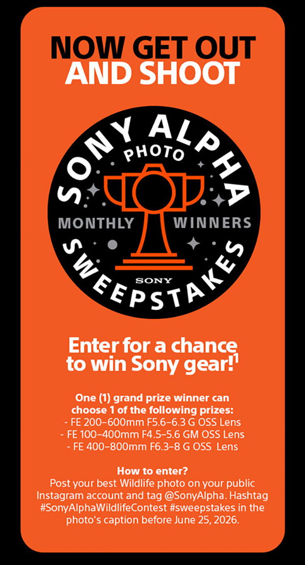 Now Get Out And Shoot | Sony Alpha Photo Sweepstakes Monthly Winners Sony | Enter for a chance to win Sony gear!1 One (1) grand prize winner can choose 1 of the following prizes: - FE 200-600mm F5.6-6.3 G OSS Lens, FE 100- 400mm F4.5-5.6 GM OSS Lens, FE 400-800mm F6.3-8 G OSS Lens - How to enter? Post your best Wildlife photo on your public Instagram account and tag @SonyAlpha. Hashtag #SonyAlphaWildlifeContest #sweepstakes in the photo's caption before June 25, 2026.