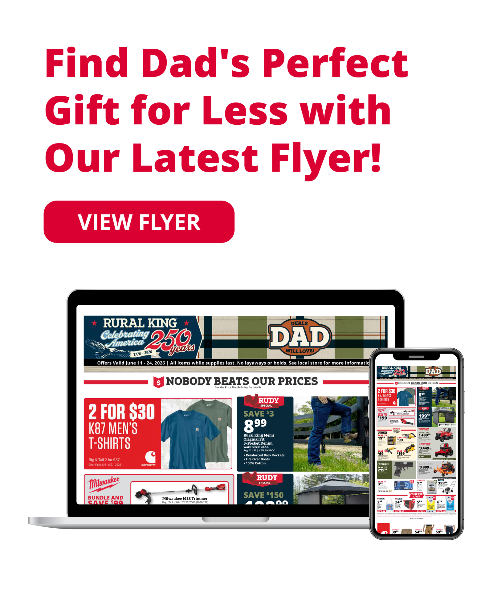 New Flyer Launch