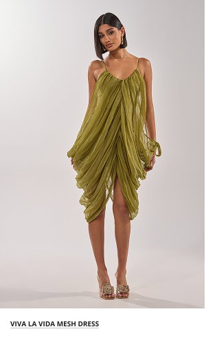 VIVA LA VIDA MESH DRESS