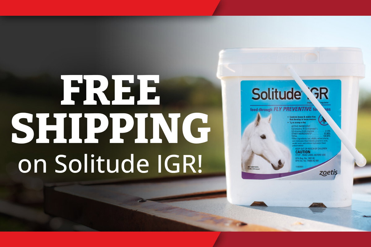 Free Shipping on Solitude IGR
