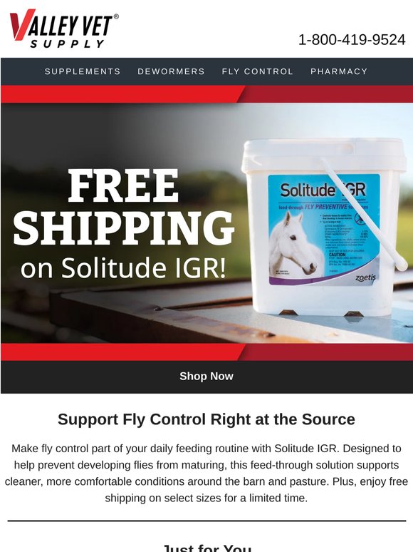 Free Shipping on Solitude IGR
