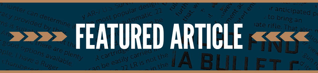 Featured Article