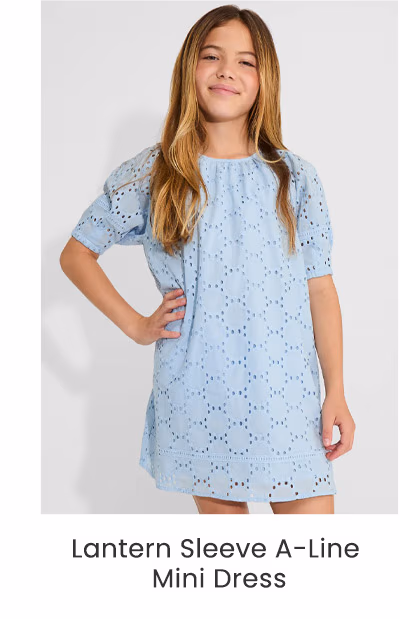 Lantern Sleeve A-Line Mini Dress
