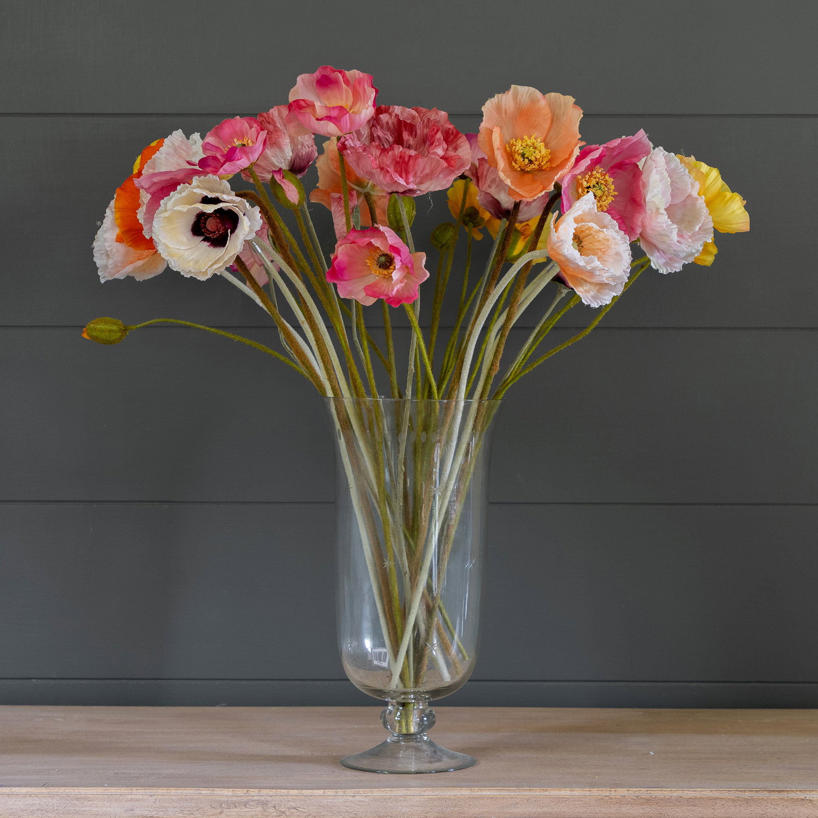 Poppy Extravaganza