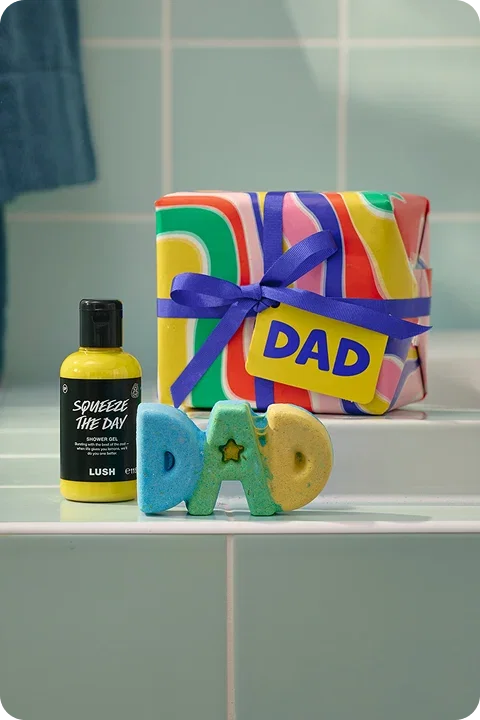 Dad Gift