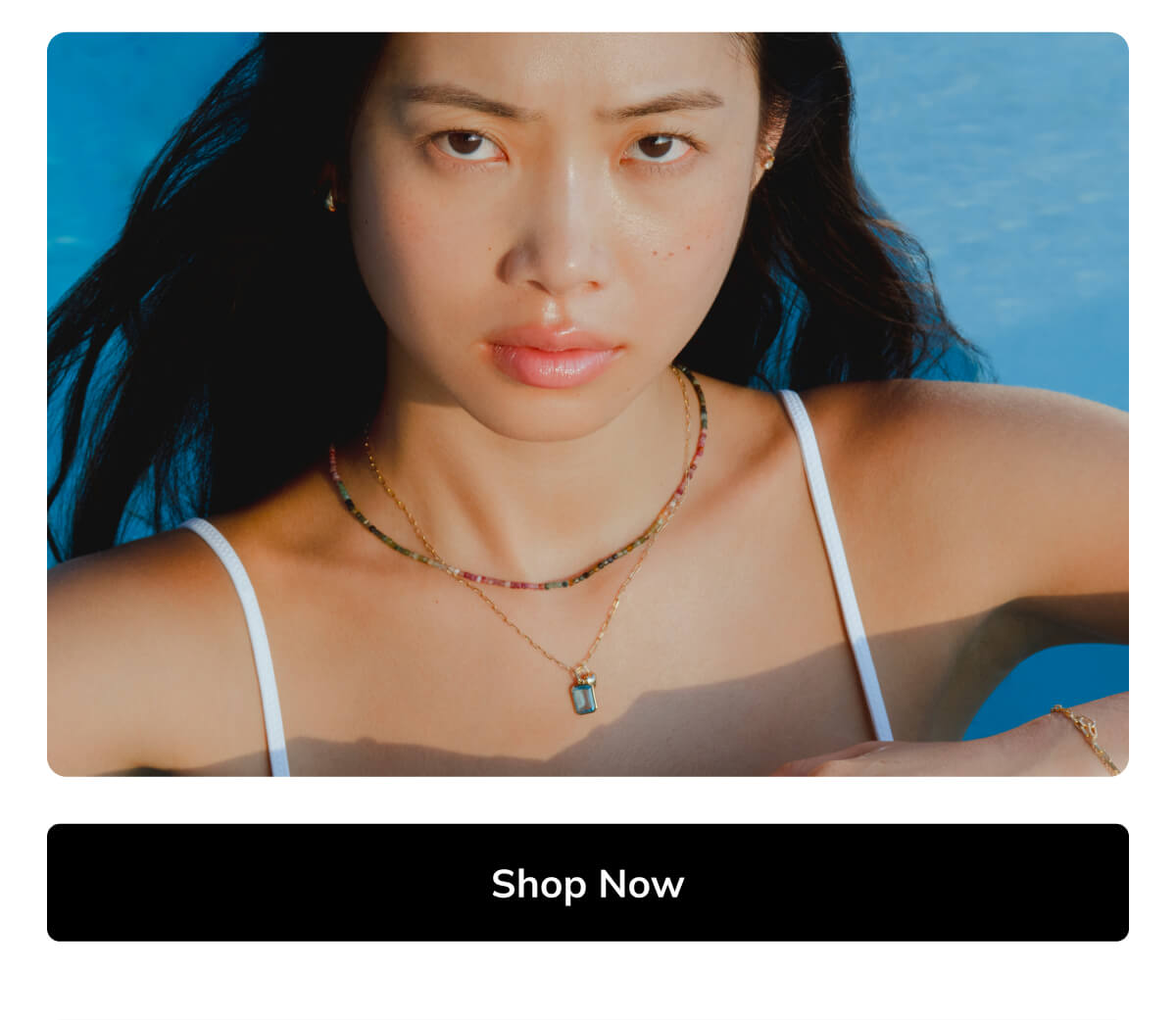Shop Now Shop Now