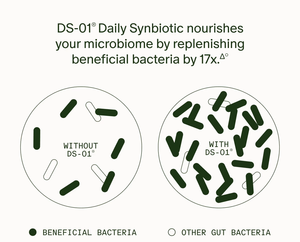 DS-01® Daily Synbiotic nourishes your microbiome by replenishing beneficial bacteria by 17x.Δ° | WITHOUT DS-01® (BENEFICIAL BACTERIA) | WITH DS-01® (OTHER GUT BACTERIA)