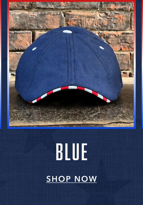 Blue Shop Now