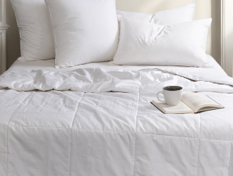 Up to $50 OFF Silk Duvets