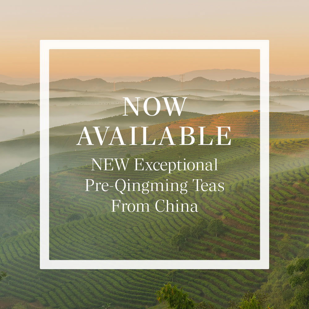 Now available — four exceptional Pre-Qingming teas from China