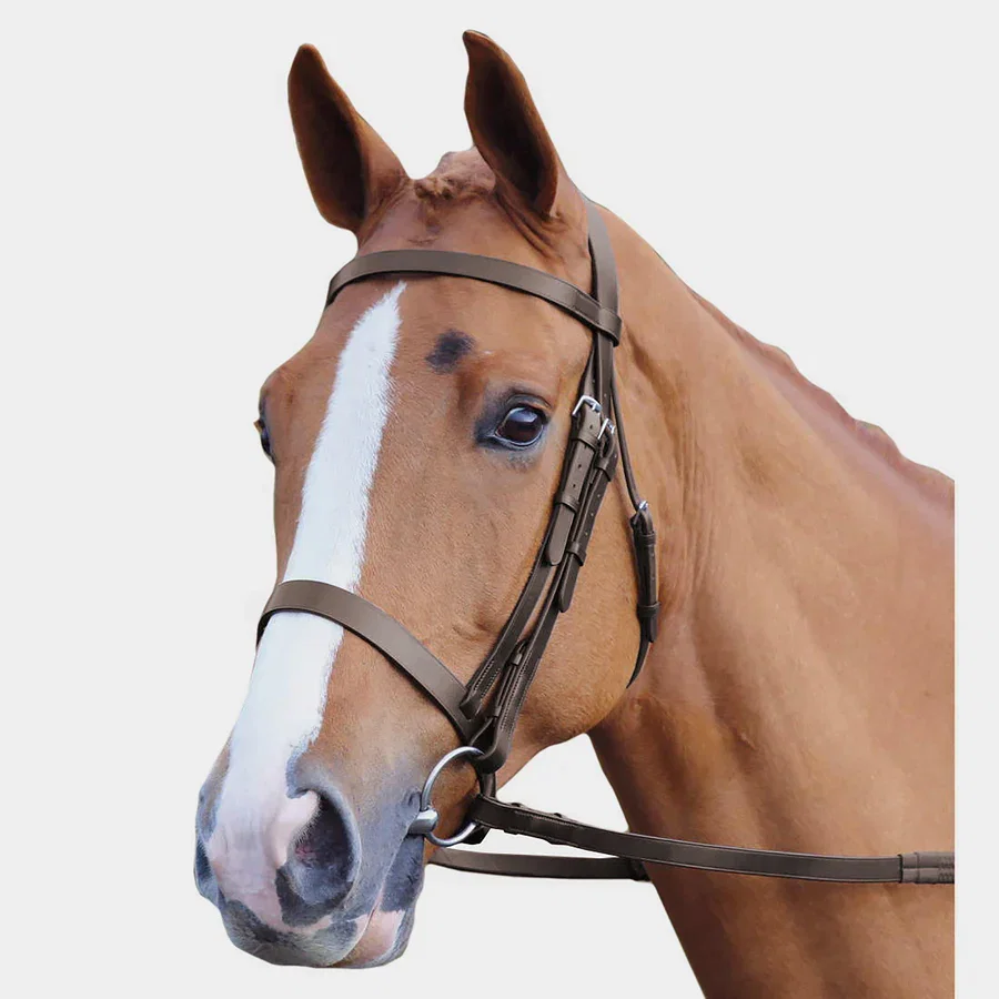 GARA Plain Bridle Havana