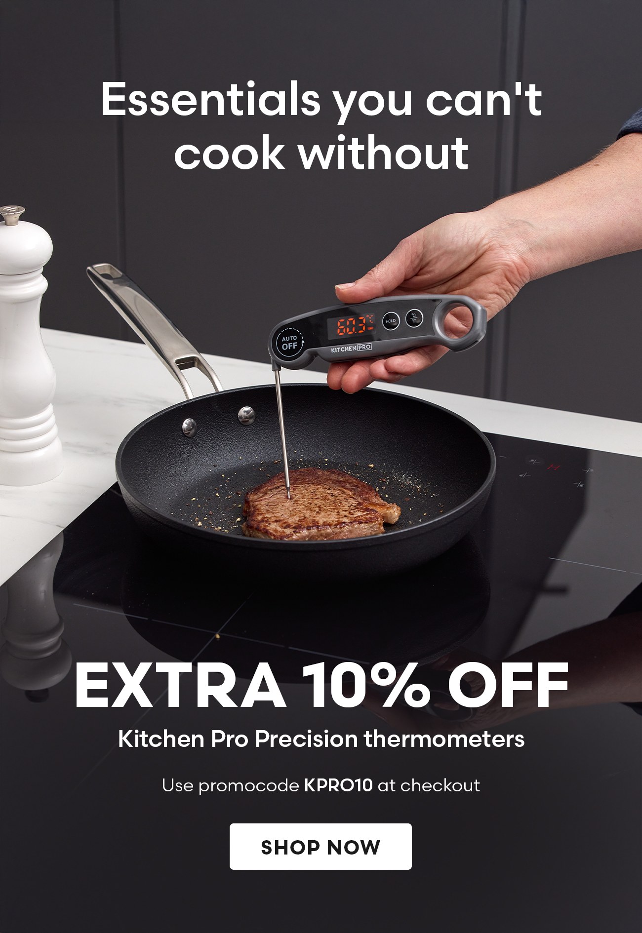 Kitchen Pro Precision thermometers