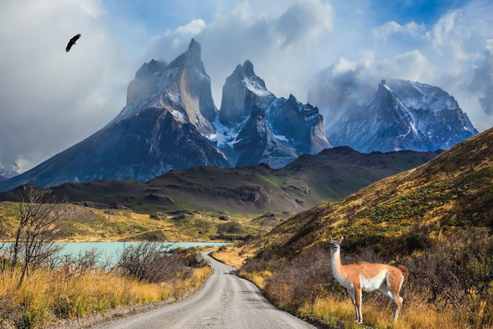 Heart of Patagonia