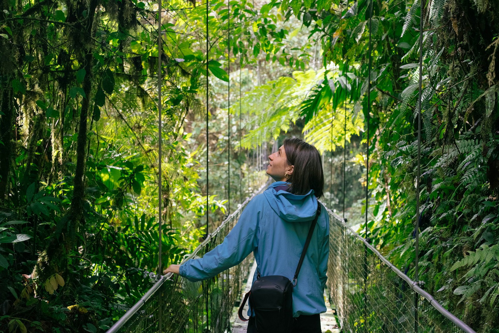 Small Group Tours