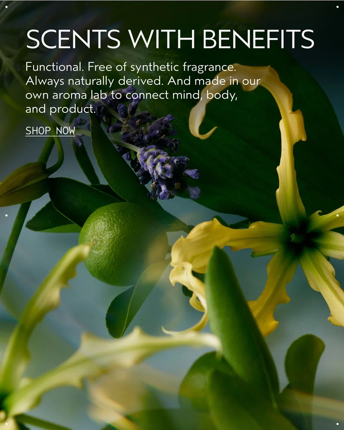 SCENTS WITH BENEFITS | Functional. Free of synthetic fragrance. Always naturally derived. And made in our own aroma lab to connect mind, body, and product. | SHOP NOW