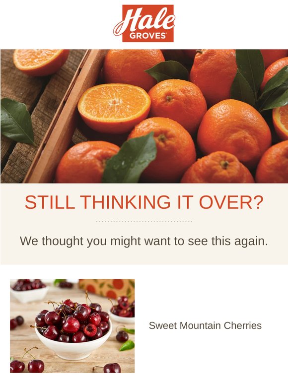 This Is Worth Another Look (Trust Us) 🍊