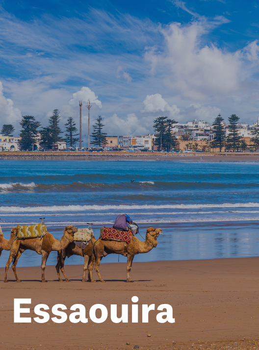 From £249 pp
