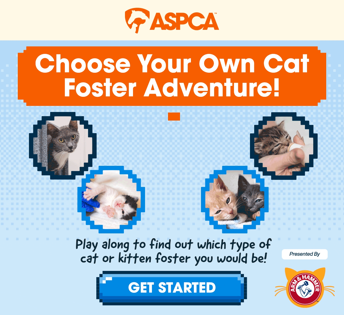Help us name a kitten in our care by submitting your BEST name suggestion.
