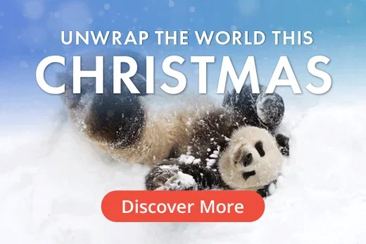 WWT_Newsletter_EDM_pod_christmas