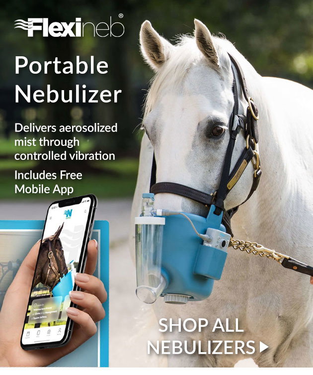 Nebulizers and breathing therapy